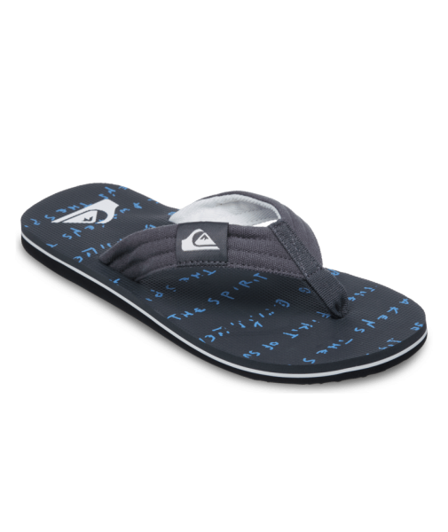 Quiksilver Molokai Layback 26