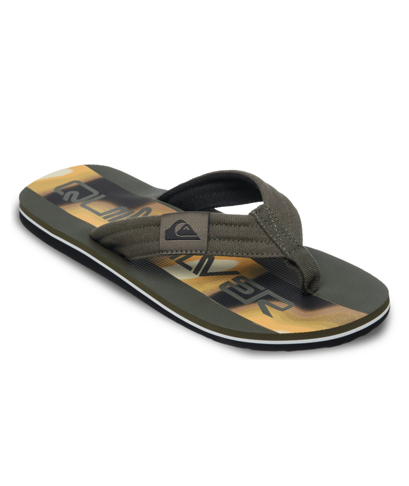 Quiksilver Molokai Layback 26, Grape Leaf Holmes, 8(41)