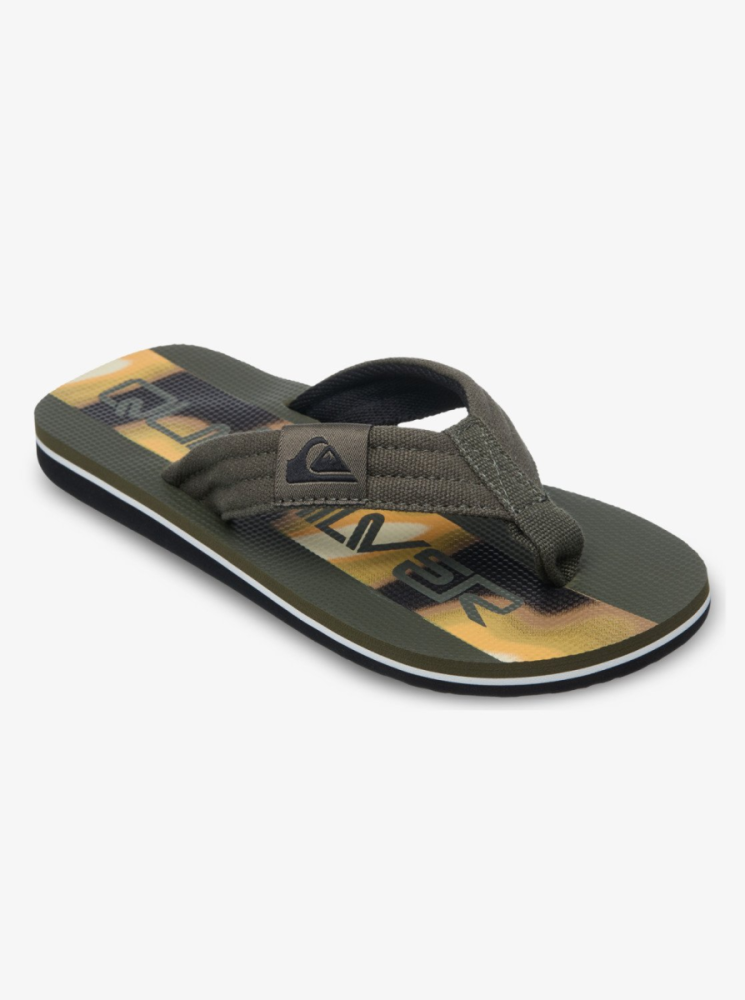 Quiksilver Molokai Layback 26 Youth, Grape Leaf Holmes, 3.5(35)