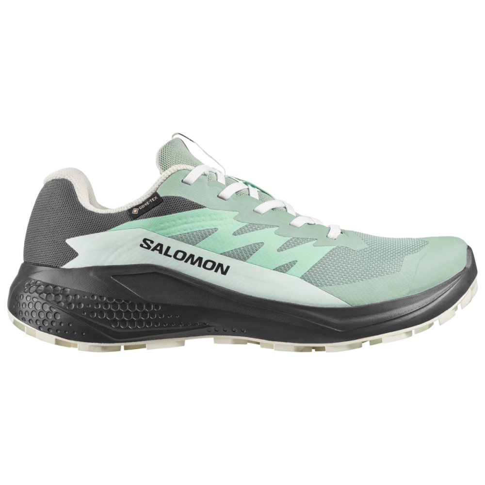 Salomon SHOES ALPHAGLIDE GTX W Greenm/Asphal/Cla, 39 1/3