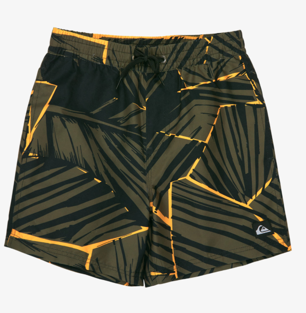 Quiksilver Everyday Printed Volley Yth 14, grape leaf natural geo, M/12