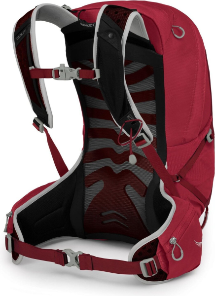 Osprey Talon 22, CosmicRed, LXL
