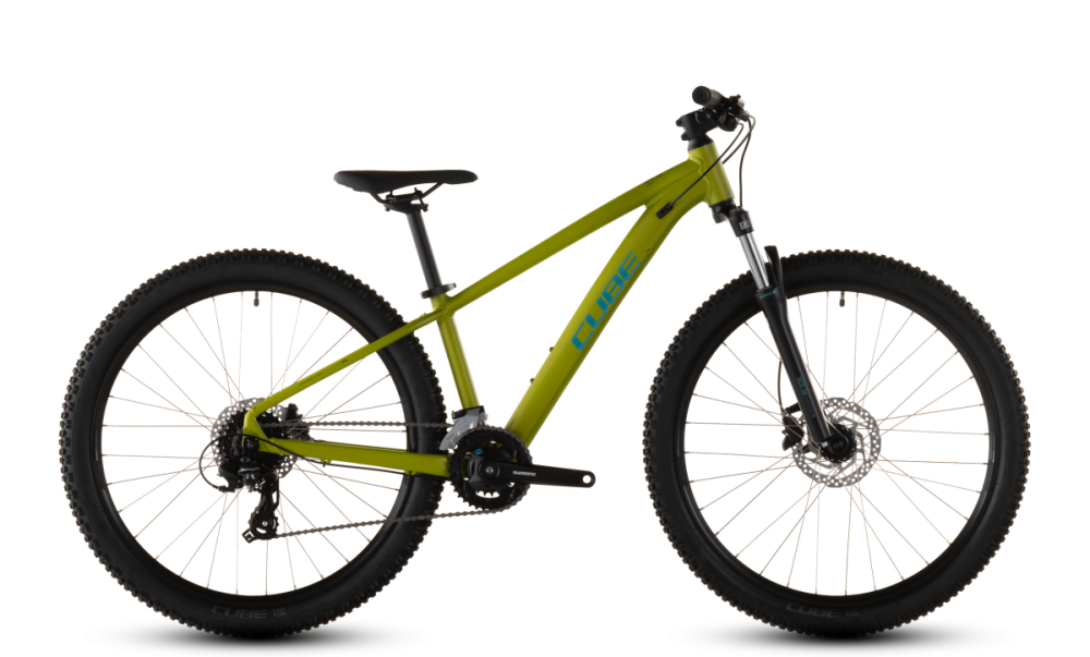 CUBE Acid 260 Disc lizard´n´blue