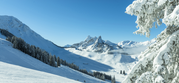 Geschenk-Gutschein in Geschenkverpackung