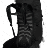 Talon 33 - Image 2